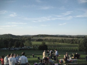 Picnic hill with view of vineyard - Arrington