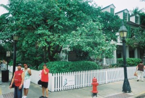Audubon House - Key West