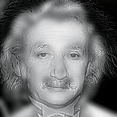 Albert Einstein or Marilyn Monroe?